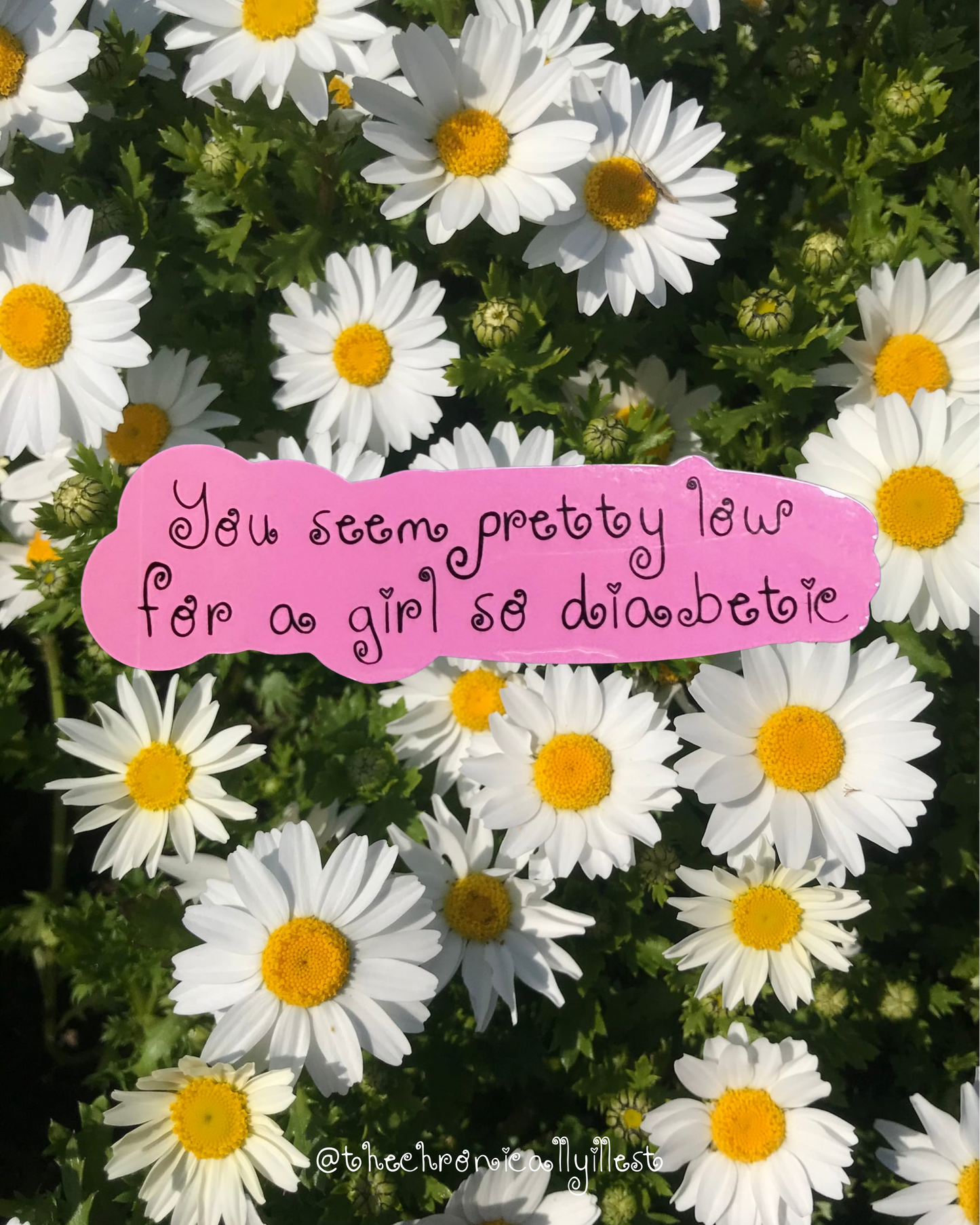 you seem pretty LOW vinyl sticker