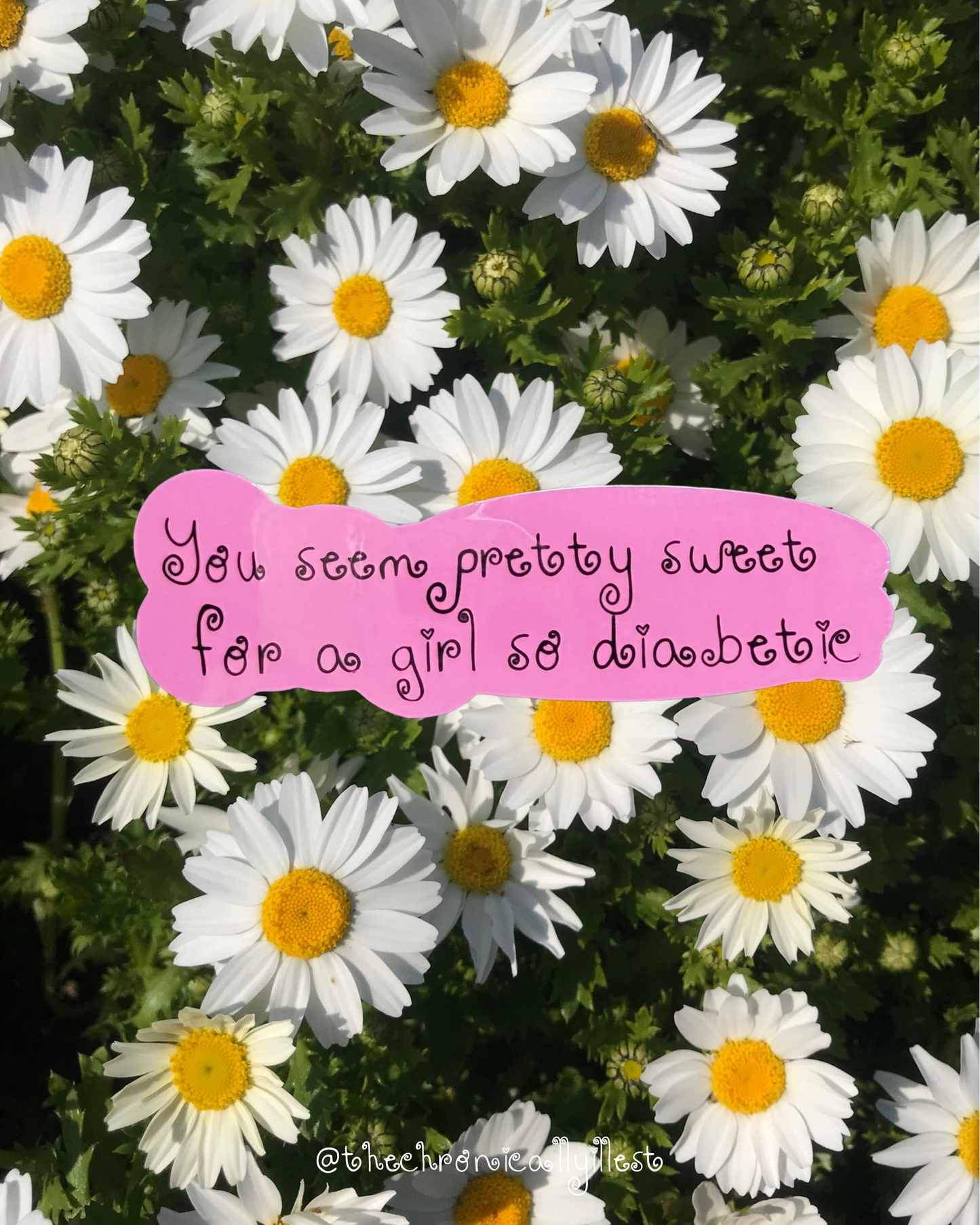 you seem pretty sweet vinyl sticker